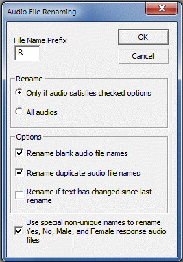 Audio File Renaming dialog box options