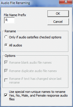 Audio File Renaming dialog box options