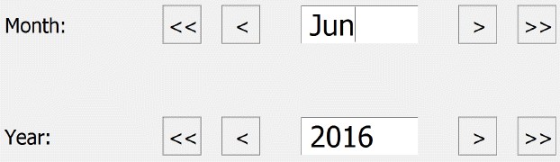 CAPI Date entry spin components Year-Month