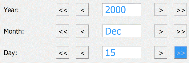 CAPI Date entry spin components Year-Month-Day