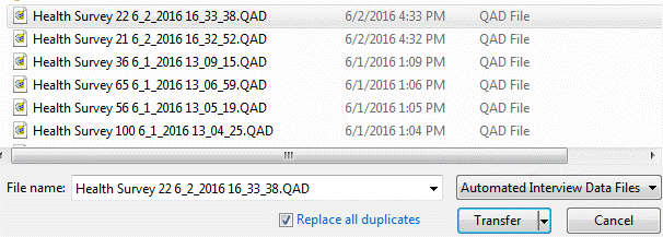 Replace all duplicates option box
