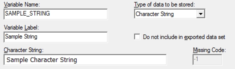 Character String Automatic Variable example